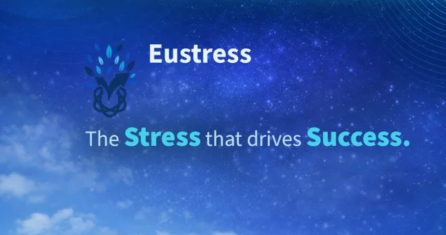 A professional in a state of flow, focused and thriving.